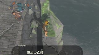依頼を受けて、気絶したハッシモの前で身投げしようとしてみた