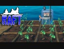 目が覚めたら海にいた[Raft]#17ゆっくり実況