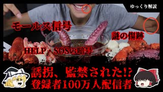 【Kate yup事件】誘拐、監禁された！？登録者100万人Youtuberの分析・考察【ゆっくり解説】