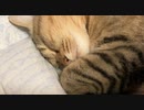 あいかわらず…