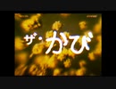 黒カビシティ