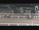 2021年11月19日大井競馬12R Ｍａｋｅ Ｎｅｗ Ｗａｙ賞(B2-三・B3-二) バーブル