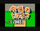 超不定期更新 今日のトルネコ 37回目