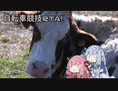 自転車競技RTA！第1回
