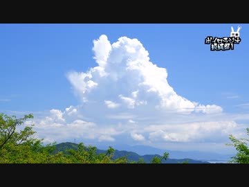 【ボイロラジオ投稿祭】アオイのあいことば