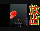 【実況】ビビりながらメトロイドドレッド　その10【METROID DREAD】