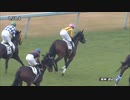 3歳上1勝クラス_アンブレラデート