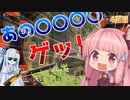 【APEX】1年後にプレデターになるあかねちゃんはスナイパーで○○○○をゲットしました【4日目】