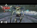 ボスですかァ～？【ゼルダの伝説スカイウォードソードHD】#10