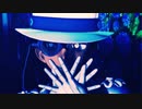 【MMDまじ快】KIDでフォニイ