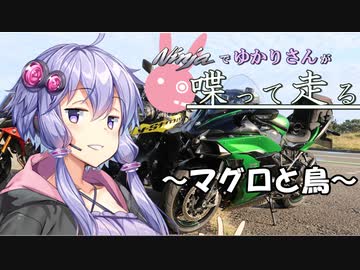 【結月ゆかり車載】Ninjaでゆかりさんが喋って走る　～マグロと鳥～