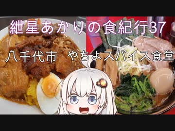 紲星あかりの食紀行37　ダブルソースカレー　米本城　八千代市　やちよスパイス食堂