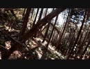 （久々の？普通に山歩き回ｗ）変態忍者の、有害鳥獣駆除従事活動記・その１８０