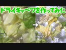 タイムラプス「キャベツをドライフードメーカーに入れてみた」Ver1.1