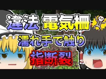 【2015年】「あぁー！」川遊びをしていた男の子 突然感電しその場に倒れる 「電気柵感電事故」【ゆっくり解説】