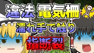 【2015年】「あぁー！」川遊びをしていた男の子 突然感電しその場に倒れる 「電気柵感電事故」【ゆっくり解説】