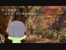 歩く廃線跡II ～奥秩父 秋の森林鉄道跡～
