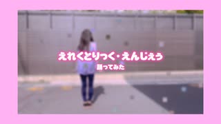 【えれくとりっく・えんじぇぅ】踊ってみた【みなみチャンネルさん参考】