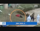 中国で続くデルタ株の感染拡大・ウイルスゼロ政策の強行で悪戦苦闘の当局