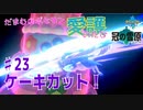 【実況】だまむのポケモン愛護のたび「冠の雪原」 ＃２３