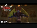 人間になりたい魔物【ゼルダの伝説スカイウォードソードHD】#12