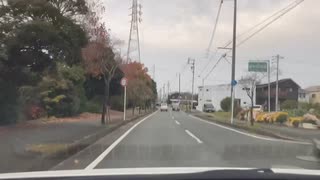 愛知で紅葉狩りとアイスを食べた話