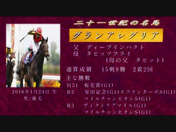 21世紀の名馬　グランアレグリア