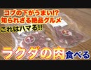 【衝撃】焼肉屋が教える！ラクダ肉の魅力と食べ方