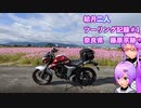 【結月ゆかり車載】結月二人　ツーリング記録#1　藤原京跡コスモス園