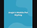 Dogs' Health and Wellbeing