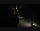 BIOHAZARD VILLAGE NO25 セーブデータ引き継ぎなし　無限弾なし