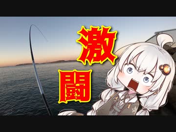 魚類に完全敗北するおじさんを実況する紲星あかり【VOICEROIDフィッシング】