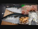 あかり日和～紡錘鰤を、雑に捌いて喰らうだけ！～
