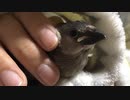 ぬくぬく
