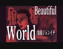 Beautiful World - Junichi Kato