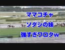 【競馬予想tv】ママコチャ ソダシの妹 強すぎワロタw 2歳未勝利2021【ルメール 武豊tv】