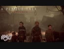 いざ本丸へ#30【A Plague Tale: Innocence】