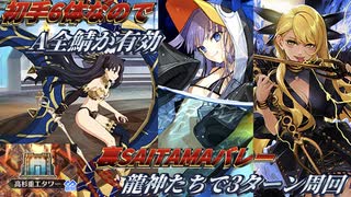 【#FGO】龍神たちがレボリューションッ!!【ぐだぐだ龍馬危機一髪】【裏SAITAMAバレー周回+α】