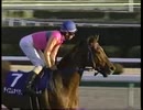 第304位：2000年 有馬記念 テイエムオペラオー 勝利騎手インタビュー有