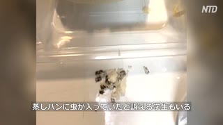 感染拡大で多数の大学生を隔離・病死よりも餓死か凍死か食中毒死になりそう