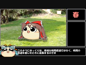 【ゆっくり生態】ゆっくりの寿命