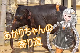 あかりちゃんの寄り道(京都市動物園)