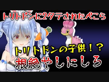 2タテされたぺこらトリトドンの子供に八つ当たりする【兎田ぺこら/ポケモンBD】