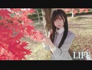 【雨君しほ】LIFE 踊ってみた【誕生日】