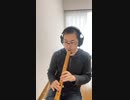 【杜子春 cover／人間椅子】和楽器で演奏してみた