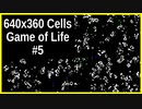 640x360 ライフゲーム #5