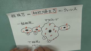 ［再］BCGツベルクリンワクチン