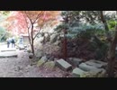 2021/11/21【外配信】ぶら涼さんin不動尊霊場巡り雨降山大山寺と紅葉2【初見歓迎】