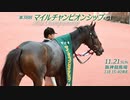 【中央競馬】プロ馬券師よっさんの第38回 マイルチャンピオンシップ（GⅠ）