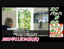 4-2 IOCバッハが、金のために動いています。菜々子の独り言。2021年11月24日(水)